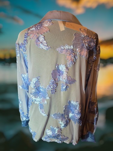 Romantische Blauwkleurige Top